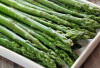 Cegah Batu Ginjal dan Sehatkan Kulit dengan Asparagus