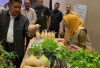 Mulok Kemandirian Pangan Cetak Generasi Mandiri di Sumsel