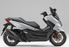 Pesaing Skutik Premium Makin Ketat, Honda Forza 2025 Hadir dengan Fitur Canggih