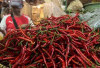 Harga Pangan 7 September 2025: Cabai Rawit dan Bawang Merah Turun, Beras Premium Terkoreksi !