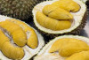 Cita Rasa Khas Durian Monthong Palu, Kebanggaan Buah Tropis dari Sulawesi Tengah