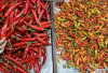 Harga Pangan 12 Agustus 2025: Cabai Rawit Rp45.485, Bawang Merah Rp47.658 per Kilogram !