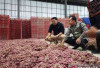 Harga Pangan 12 Mei 2025 : Bawang Merah Turun Rp38.636, Daging Ayam Rp34.842 per Kilogram !