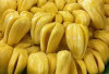 Manfaat Buah Nangka, Superfood Tropis dengan Segudang Khasiat Kesehatan