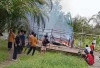 Rumah Warga di Sungai Rambutan Ludes Terbakar, Diduga Akibat Konsleting Listrik