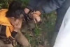 Kecelakaan Tunggal Kembali Terjadi di Desa Banuayu OKU