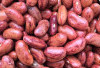 Kacang Merah, Sumber Gizi Kaya Manfaat yang Selalu Hadir di Meja Makan