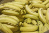 Banyak Dipercaya Redakan Asam Lambung, Ini Fakta Sebenarnya tentang Pisang