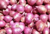 Mengenal Jenis-Jenis Bumbu Masak yang Membuat Hidangan Semakin Lezat