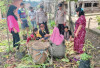 Warga Panen Jagung Program Perkarangan Pangan Bergizi
