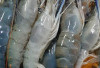 Ragam Udang Nusantara, Kekayaan Laut dan Air Tawar yang Menggoda Selera