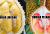 2 Varian Durian Paling Unggul di Sumatera Selatan :  Miliki Keunikan dan Cita Rasa Tersendiri ! 