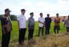DPD RI Dukung Sawah Baru Presiden untuk Swasembada Pangan