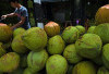 Air Kelapa hingga Bubur Halus, Ini Rekomendasi Makanan untuk Pemulihan Keracunan