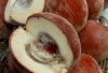Dukung Kesehatan Tulang dengan Buah Mentega