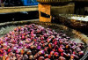 Harga Pangan 25 Agustus 2025: Cabai Rawit Rp41.030, Bawang Merah Rp43.490 per Kilogram !