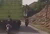 Awas Bajing Loncat Beraksi di Siang Bolong