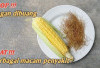 Lindungi Sel Tubuh dari Kerusakan Akibat adikal Bebas dengan Bulu Jagung