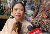 Puan Maharani Dorong Pemerintah Sediakan Daycare Aman untuk Cegah Kekerasan Anak