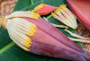 Jantung Pisang Si Superfood Murah Meriah yang Kaya Manfaat Kesehat