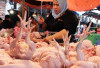 Harga Pangan 5 Mei 2025 : Daging Ayam Rp33.285, Cabai Rawit Merah Rp61.687 per Kilogram !