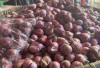 Harga Pangan 19 Oktober 2024 : Bawang Merah Sentuh Rp29.520 per Kilogram !