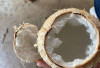 Atasi Gatal  dan Demam Berdarah dengan Kelapa Kopyor