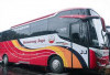 Ibu dan Dua Anak Kembar Diserempet Bus  