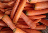 Wortel, Sayuran Sejuta Manfaat yang Tetap Jadi Primadona di Tengah Gempuran Makanan Modern