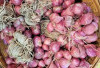 Atasi Bau Mulut dan Infeksi Gusi dengan Bawang Merah