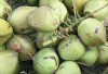 Es Dogan, Minuman Segar yang Paling Dicari Saat Bulan Puasa
