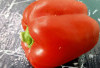 Paprika: Si Cabai Manis Penuh Warna Bantu Menjaga Fungsi Otak