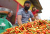 Harga Pangan 16 Agustus 2025: Cabai Rawit Rp40.657, Bawang Merah Rp45.992 per Kilogram !