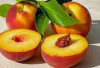 Jaga Kesehatan Mata, Jantung dan   Tekanan Darah dengan Buah Nektarin