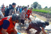 Heboh Mayat Pria Tertelungkup di Sawah Sambil Pegang Alat Setrum Ikan    