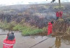 Waspada Karhutla! Ogan Ilir dan Musi Banyuasin Masuk Zona Merah di Sumsel T