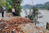 Rumah dan Garasi Amblas ke Sungai Lematang