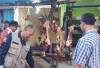Dinas Pertanian OKU Periksa Kualitas Daging Potong Jelang Idul Adha
