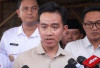 Gibran Ngantor di Papua?   
