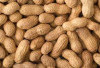 Ingin Otak Terjaga Kesehatannya? Sering-sering Konsumsi Kacang Jenis Ini!