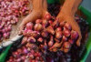 Harga Pangan 10 Juli 2025: Cabai dan Bawang Turun, Daging Sapi dan Ikan Naik !
