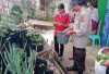 Dorong Ketahanan Pangan, Tanaman Cabai dan Daun Bawang