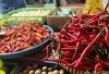 Harga Pangan 14 September 2025: Beras Medium Turun Jadi Rp13.772, Cabai Rawit Rp46.397 per Kilogram !
