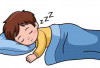 Tidur Siang Ternyata Dapat Meningkatkan Daya Ingat dan Memperbaiki Mood
