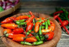 Jenis Cabe yang Populer di Indonesia, dari yang Pedas hingga yang Aromatik