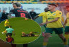 Justin Hubner: Dari Cadangan Wolverhampton ke Starter di Eredivisie Bersama Fortuna Sittard