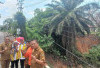 Hujan Deras: Jembatan Air Beliti Terancam Amruk, Ini Penyebabnya!