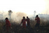 Karhutla Seluas 5 Hektare di Ogan Ilir Berhasil Dikendalikan, Manggala Agni Kerahkan Helikopter Water Bombing