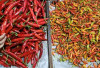 Harga Pangan 15 Juli 2025: Harga Cabai Rawit Rp67.171, Bawang Merah Tembus Rp40.943 per Kilogram !
