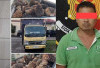 Terciduk Gelapkan 52 Janjang Sawit, Begini Nasib Sopir PT DAM!  